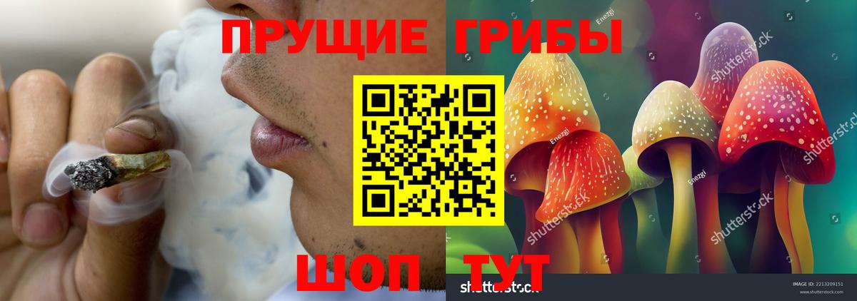 Когалым  Галлюциногенные грибы MAGIC MUSHROOMS  Вход с VPN 